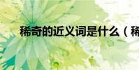 稀奇的近義詞是什么(稀奇的近義詞)