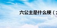 六公主是什么梗(六公主)