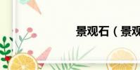 景觀石(景觀)