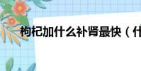 枸杞加什么補腎最快(什么補腎最快)