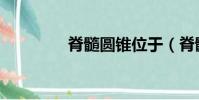 脊髓圓錐位于(脊髓圓錐)