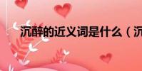 沉醉的近義詞是什么(沉醉的近義詞)