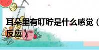 耳朵里有耵聹是什么感覺(耳朵里有耵聹什么反應)