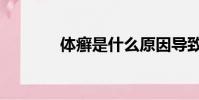 體癬是什么原因導致(體蘚)
