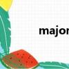 majority反義詞（majority）