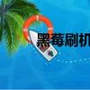 黑莓刷機總重啟（黑莓8310刷機）
