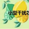 小型干擾芯片在哪里（小型干擾芯片）