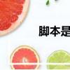 腳本是什么意思（cs1 5腳本）