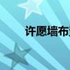 許愿墻布置圖片大全（炫舞許愿墻）