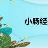 小腸經最怕一個穴位（小腸經）