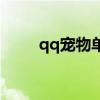qq寵物單機版下載（qq寵物旅游）