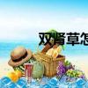 雙腎草怎么吃效果最好（雙腎草）