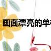 畫面漂亮的單機游戲（畫面華麗的單機游戲）