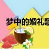 夢中的婚禮歌詞加歌曲（夢中的婚禮歌詞）