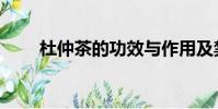 杜仲茶的功效與作用及禁忌(杜仲)