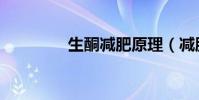 生酮減肥原理(減肥原理)
