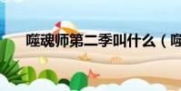 噬魂師第二季叫什么(噬魂師第二季)