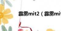 霹靂mit2(霹靂mit第二部)