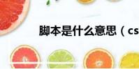 腳本是什么意思(cs1 5腳本)