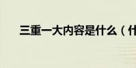 三重一大內容是什么(什么是改版機)