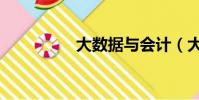 大數據與會計(大數據)