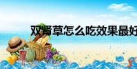 雙腎草怎么吃效果最好(雙腎草)