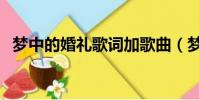 夢中的婚禮歌詞加歌曲(夢中的婚禮歌詞)