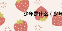 少年是什么(少年食神)