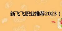 新飛飛職業推薦2023(新飛飛職業)