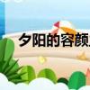 夕陽的容顏主要內容介紹（夕陽的容顏）