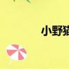 小野貓演唱者（小野貓主唱）