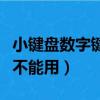 小鍵盤數字鍵不能用怎么回事（小鍵盤數字鍵不能用）
