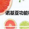 諾基亞功能機主題（諾基亞x3手機主題）