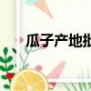 瓜子產地批發市場在哪里（瓜子產地）