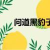 問道黑豹子坐騎是幾速（問道黑豹子）