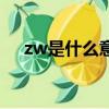 zw是什么意思很污的（zw是什么意思）
