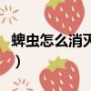 蜱蟲怎么消滅最快最有效辦法（蜱蟲怎么消滅）