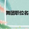 舞團職位名稱古風一套（舞團職位名稱）