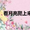 看月亮爬上來mv（張杰看月亮爬上來mv）