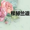 穆赫蘭道影評鏡頭（穆赫蘭道影評）