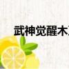 武神覺醒木乃伊怎么打（武神覺醒任務）