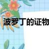 波羅丁的證物怎么獲得（dnf波羅丁的證物）
