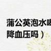 蒲公英泡水喝降血壓嗎怎么喝（蒲公英泡水喝降血壓嗎）