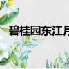 碧桂園東江月車位多少錢（碧桂園東江月）