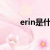 erin是什么意思（erin andrews）