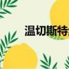 溫切斯特步槍家族（溫切斯特步槍）