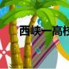 西峽一高校長高朝陽（西峽一高校長）