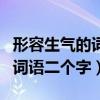 形容生氣的詞語二個字的有哪些（形容生氣的詞語二個字）