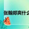 張翰鄭爽什么時候分手的（張翰和鄭爽的關系）