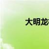 大明龍權稱號（大明龍權名字）